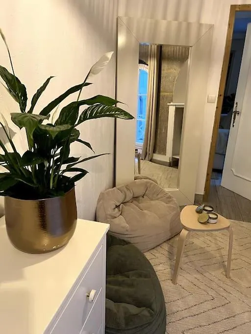 Superbe Duplex En Hyper Centre Apartment Saint-Etienne