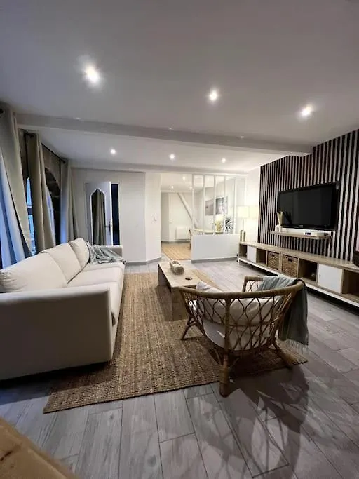 Superbe Duplex En Hyper Centre Apartment Saint-Etienne