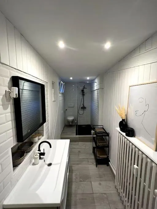 Superbe Duplex En Hyper Centre Apartment Saint-Etienne   Saint-Etienne (Loire)