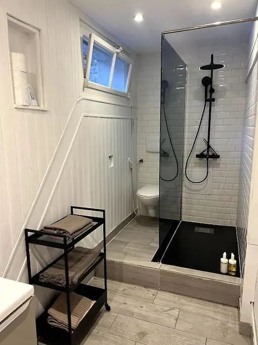 Superbe Duplex En Hyper Centre Apartment Saint-Etienne  Saint-Etienne (Loire)