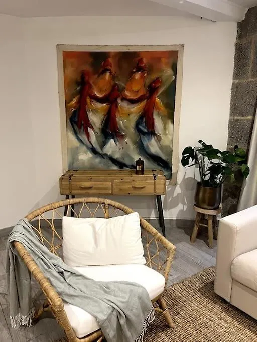 Superbe Duplex En Hyper Centre Apartment Saint-Etienne   Saint-Etienne (Loire)