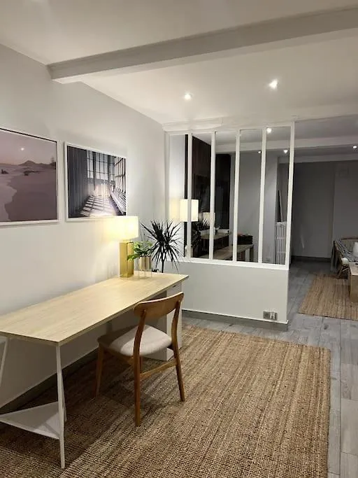 Superbe Duplex En Hyper Centre Apartment Saint-Etienne  France