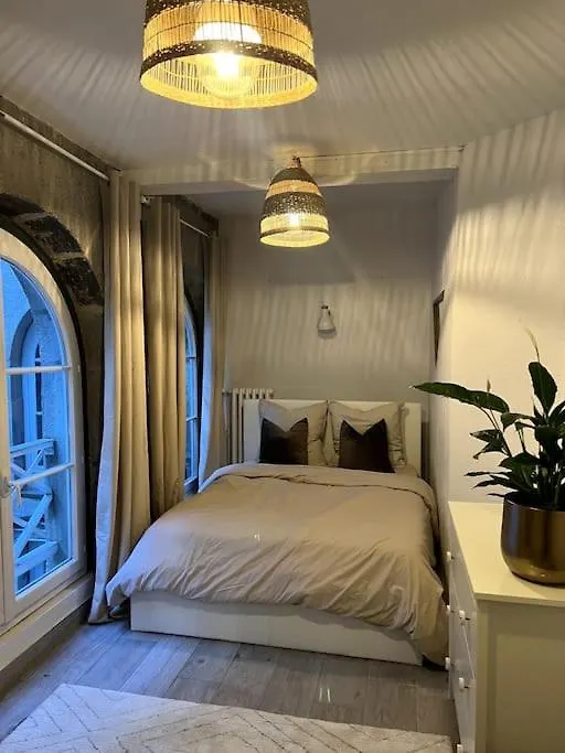 Superbe Duplex En Hyper Centre Apartment Saint-Etienne  France
